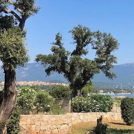 De Standing Et Vue Vecchio *